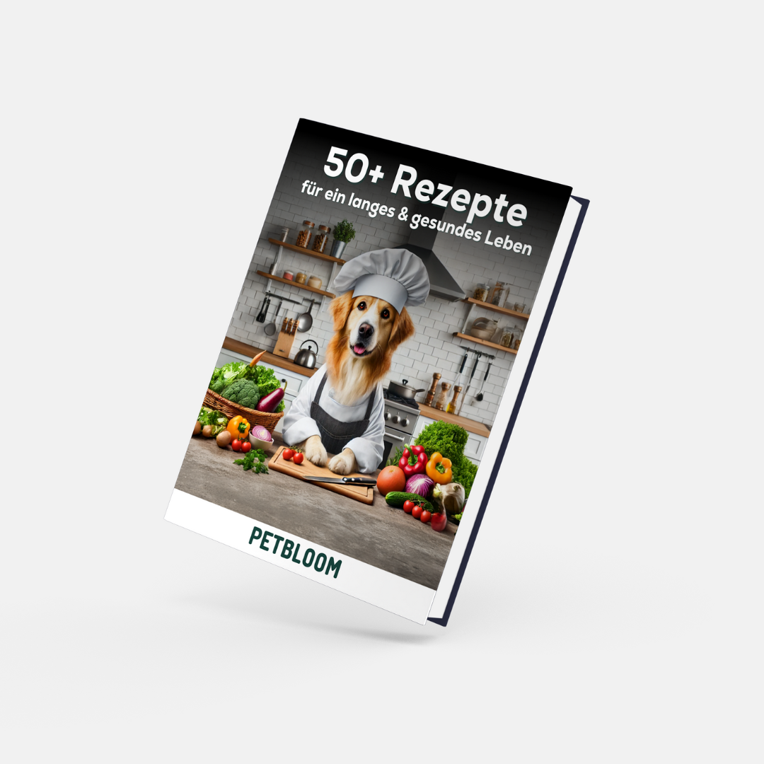 GESCHENK: E-Book: 58 einfache und gesunde Rezepte