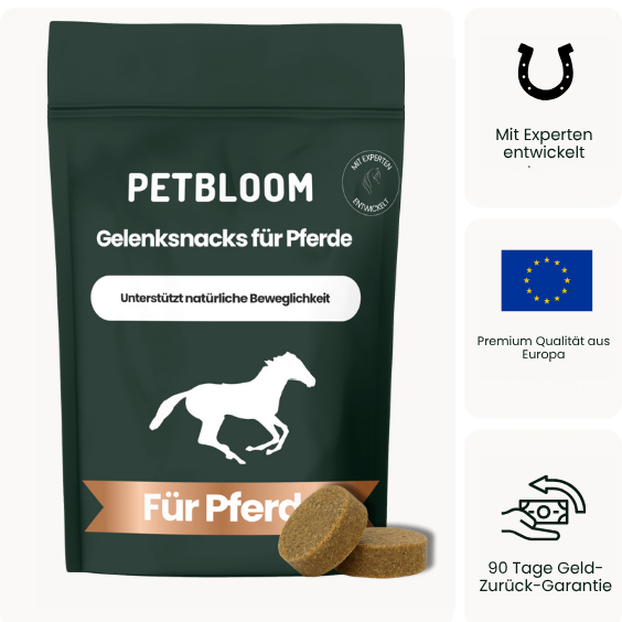 Pferde Gelenksnacks