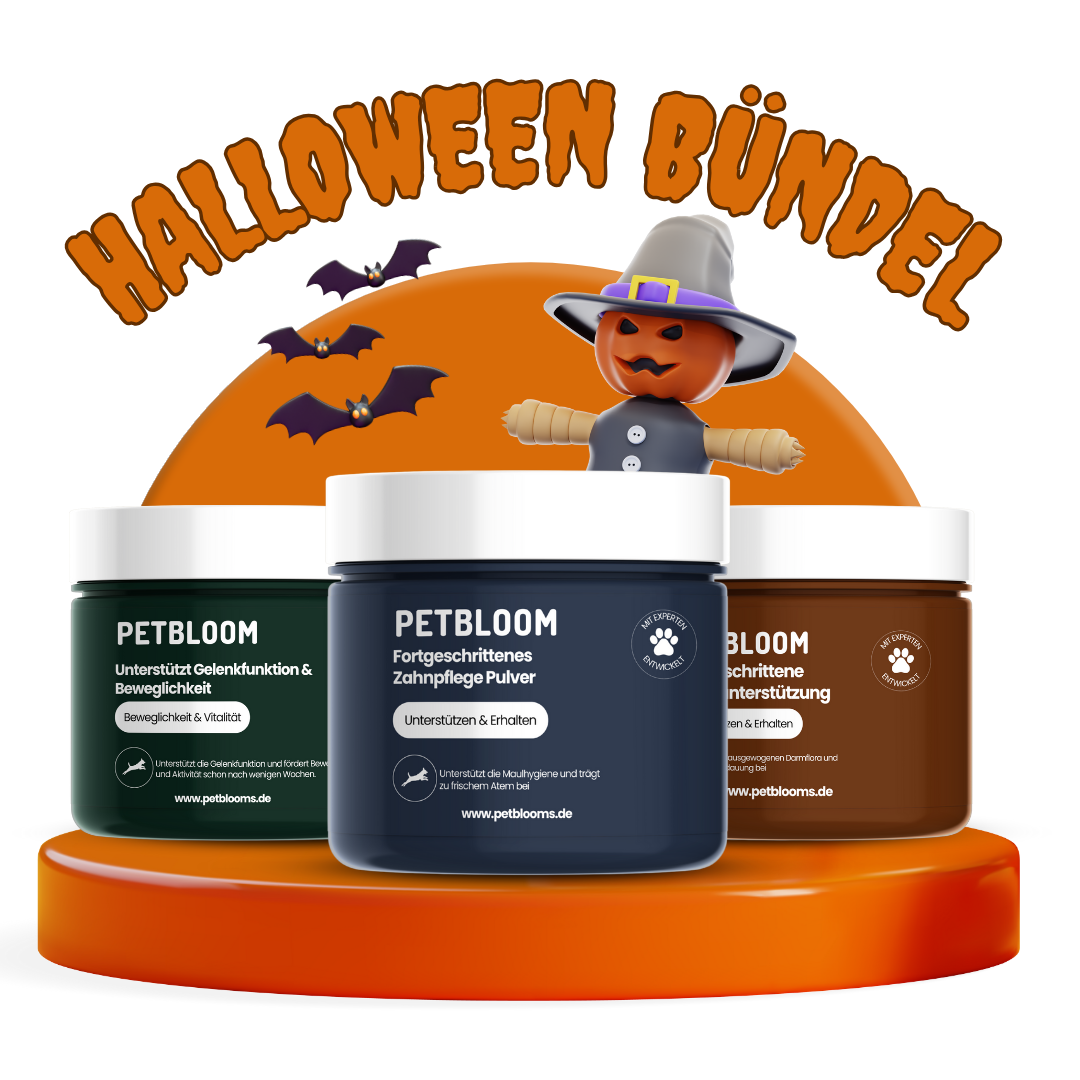 Halloween Bündel